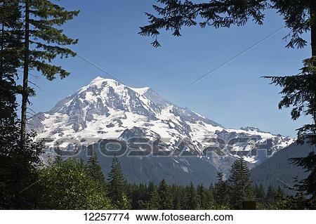 Picture - Scenic view of Mount Rainier from the area of Carbonado in summer, Washington, USA. Fotosearch