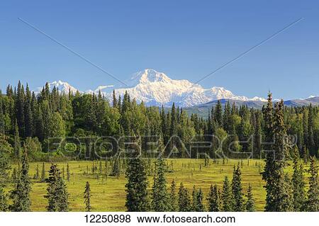 Stock Photo - Scenic view of the Southside of Mt. McKinley (Denali) from Petersville Road; Alaska, United States of America. Fotosearch