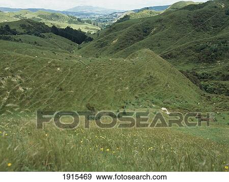 Scenic View View Large Photo Image Stock Photo - Scenic View. Fotosearch