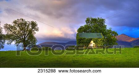 Scenic view with vine covered barn and tree; Killarney, County Kerry, Ireland View Large Photo Image Stock Photo - Scenic view with vine covered barn and tree; Killarney, County Kerry, Ireland. Fotosearch