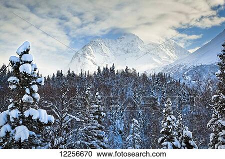 Scenic winter view of Chugach Mountains and spruce forest, Eagle River, Southcentral Alaska View Large Photo Image Stock Image - Scenic winter view of Chugach Mountains and spruce forest, Eagle River, Southcentral Alaska. Fotosearch