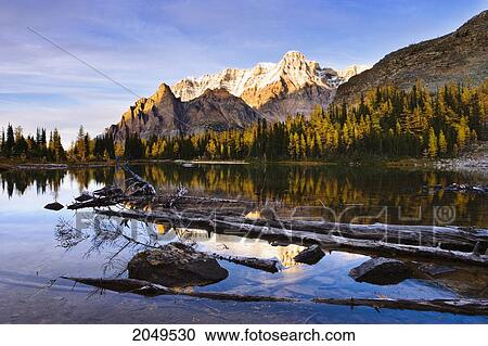 Stock Image - Schaffer Lake And Mount Huber At Sunset, Yoho National Park, British Columbia. Fotosearch