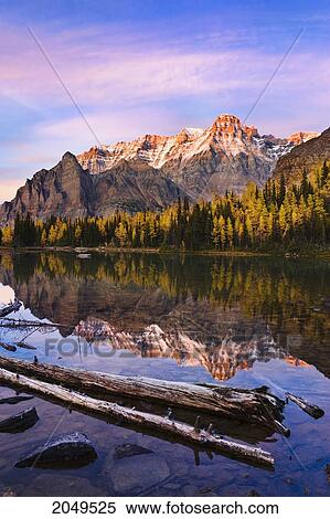 Schaffer Lake And Mount Huber At Sunset, Yoho National Park, British Columbia View Large Photo Image Stock Photography - Schaffer Lake And Mount Huber At Sunset, Yoho National Park, British Columbia. Fotosearch