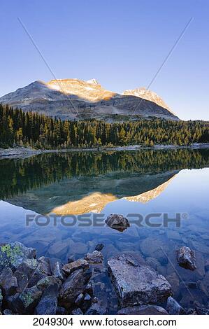 Picture - Schaffer Lake And Odaray Mountain At Sunrise, Yoho National Park, British Columbia. Fotosearch