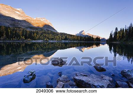 Schaffer Lake, Odaray And Cathedral Mountains At Sunrise, Yoho National Park, British Columbia View Large Photo Image Stock Photograph - Schaffer Lake, Odaray And Cathedral Mountains At Sunrise, Yoho National Park, British Columbia. Fotosearch