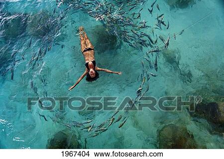 Picture - School Of Fish Encircling Woman Floating In Tropical Ocean Water.. Fotosearch