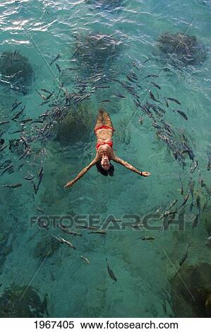 Stock Photography - School Of Fish Encircling Woman Floating In Tropical Ocean Water.. Fotosearch