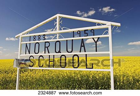 School sign in front of bloom stage canola field near Somerset; Manitoba, Canada View Large Photo Image Stock Photo - School sign in front of bloom stage canola field near Somerset; Manitoba, Canada. Fotosearch