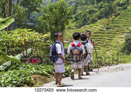 Stock Photography - Schoolboys, Sereale, Toraja Land, South Sulawesi, Indonesia. Fotosearch