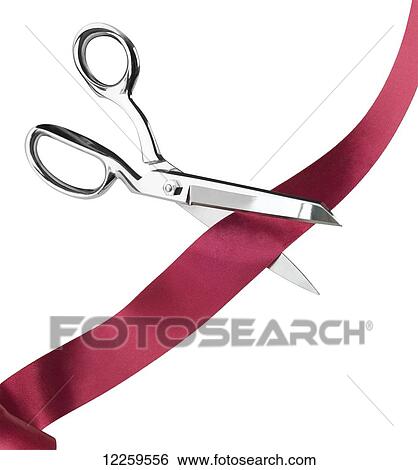 Scissors cutting a red ribbon View Large Photo Image Stock Photograph - Scissors cutting a red ribbon. Fotosearch