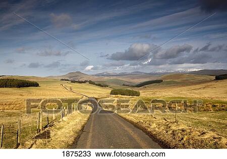 Scottish Borders, Scotland; A Road With Fields On Both Sides View Large Photo Image Stock Image - Scottish Borders, Scotland; A Road With Fields On Both Sides. Fotosearch