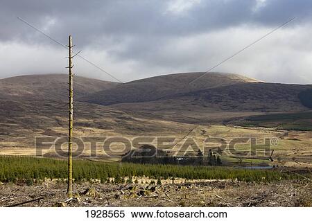 Stock Photography - Scottish Landscape; Dumfries, Scotland. Fotosearch