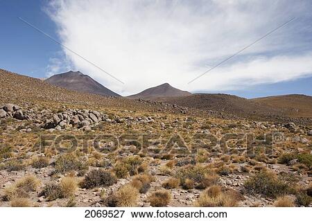 Stock Photo - Scrubland Around The Ollag. Fotosearch