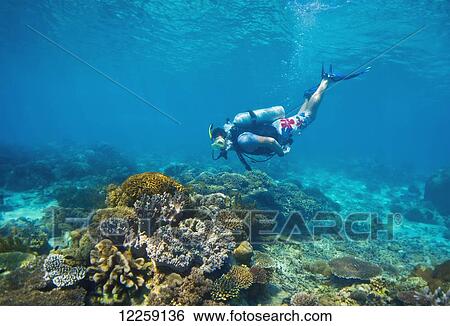 Scuba diving off the coast of Timor-Leste; Timor-Leste View Large Photo Image Stock Photograph - Scuba diving off the coast of Timor-Leste; Timor-Leste. Fotosearch
