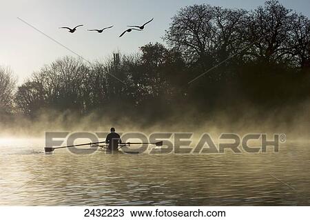 Stock Image - Sculling in mist on River Thames; London, England. Fotosearch