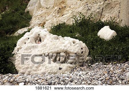 Stock Image - Sculpture Of A Creature's Head On The Beach; Beer, Devon, England. Fotosearch