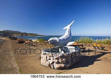 Sculpture Of A Whale Along The Coast; Depoe Bay Oregon United States Of America View Large Photo Image Stock Image - Sculpture Of A Whale Along The Coast; Depoe Bay Oregon United States Of America. Fotosearch