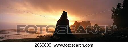 Stock Photo - Sea Stacks, Sunset, Ruby Beach, Olympic Np, Washington. Fotosearch