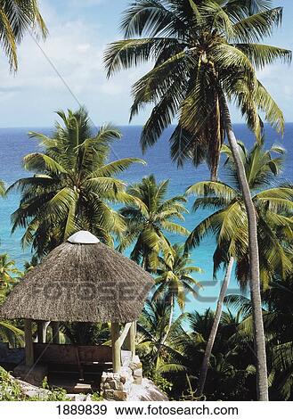 Stock Photo - Sea View On Fregate Island. Fotosearch