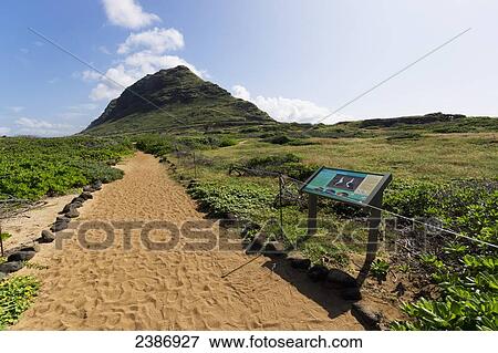 Stock Photo - Seabird sanctuary at Kaena Point; Oahu, Hawaii, United States of America. Fotosearch