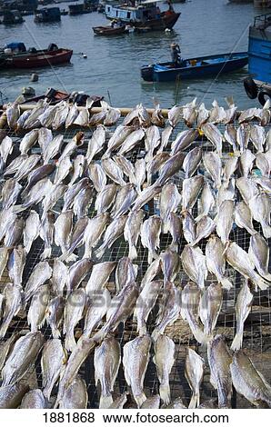 Stock Photo - Seafood Laid Out To Dry Along Waterfront.. Fotosearch
