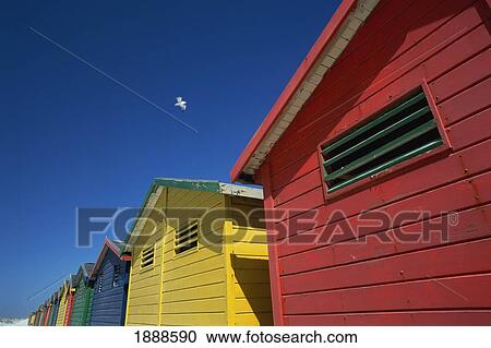 Stock Image - Seagull Flying Over Colorful Beach Huts. Fotosearch