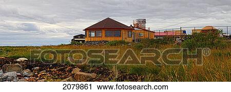 Stock Image - Seal River Lodge With Polar Bear Laying In Kelp, Near Churchill, Manitoba.. Fotosearch