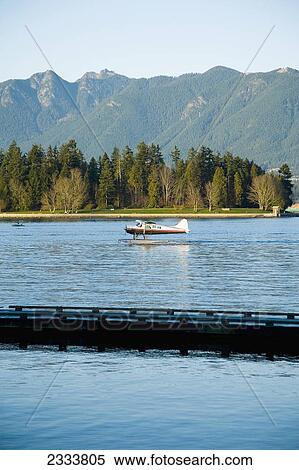 Seaplane Taking Off, Vancouver Waterfront, Harbor; Vancouver, British Columbia, Canada View Large Photo Image Stock Photography - Seaplane Taking Off, Vancouver Waterfront, Harbor; Vancouver, British Columbia, Canada. Fotosearch