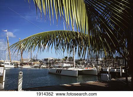 Seaport District, Old Town, Key West View Large Photo Image Stock Image - Seaport District, Old Town, Key West. Fotosearch