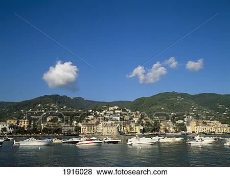 Seaside Resort Of Rapallo View Large Photo Image Stock Photo - Seaside Resort Of Rapallo. Fotosearch