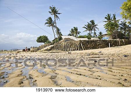 Seaweed Farming By Beach View Large Photo Image Stock Image - Seaweed Farming By Beach. Fotosearch