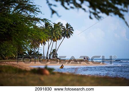 Secluded Beach; Waimea, Kauai, Hawaii, Usa View Large Photo Image Stock Image - Secluded Beach; Waimea, Kauai, Hawaii, Usa. Fotosearch