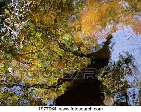 Second Earth, Massachusetts, Seekonk, Caratunk Wildlife Refuge, Colorful Glassy Reflections On Water. View Large Photo Image Picture - Second Earth, Massachusetts, Seekonk, Caratunk Wildlife Refuge, Colorful Glassy Reflections On Water.. Fotosearch