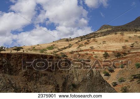 Semi-arid vegetation in the Huancabamba Depression, Cajamara, Peru View Large Photo Image Stock Image - Semi-arid vegetation in the Huancabamba Depression, Cajamara, Peru. Fotosearch