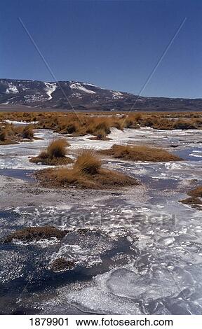 Stock Image - Semi Frozen Lake In Altiplano Near San Pedro De Atacama. Fotosearch
