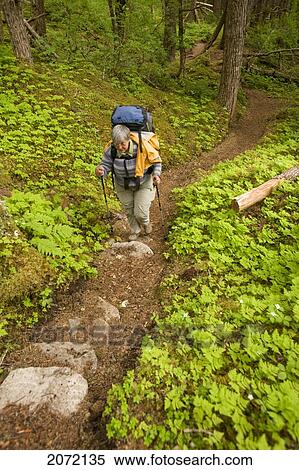 Senior Backpacking On The Chilkoot Trail, Yukon View Large Photo Image Stock Photography - Senior Backpacking On The Chilkoot Trail, Yukon. Fotosearch
