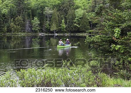 Stock Image - Senior Couple Canoeing In A Lush Green Bay In Spring On Smoke Lake In Algonquin Park; Ontario Canada. Fotosearch