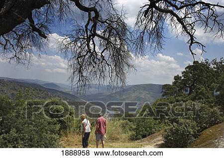 Stock Photo - Senior Couple Walking In Mountains. Fotosearch