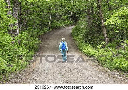Senior Woman Walking Down A Tree-Lined Dirt Road In Algonquin Park In Spring; Ontario Canada View Large Photo Image Stock Photo - Senior Woman Walking Down A Tree-Lined Dirt Road In Algonquin Park In Spring; Ontario Canada. Fotosearch