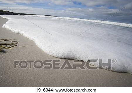 Sensitive Foam On Beach View Large Photo Image Picture - Sensitive Foam On Beach. Fotosearch