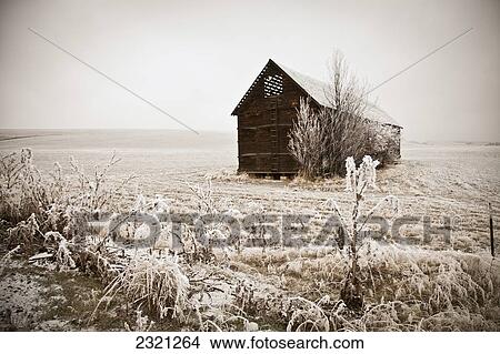 Sepia winter barn with hoar frost; Walla Walla, Washington State, USA View Large Photo Image Picture - Sepia winter barn with hoar frost; Walla Walla, Washington State, USA. Fotosearch