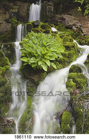 Stock Image - Serene Waterfall. Fotosearch