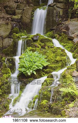 Stock Photo - Serene Waterfall. Fotosearch