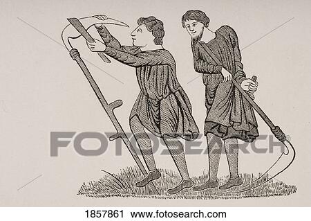 Serfs Labouring Fields With Scythes After A Miniature In 12Th Century Manuscript View Large Photo Image Stock Image - Serfs Labouring Fields With Scythes After A Miniature In 12Th Century Manuscript. Fotosearch