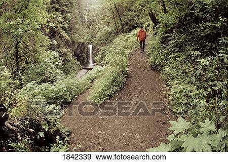 Stock Photo - Serpintine Trail; Multnomah Creek, Columbia River Gorge, Oregon, Usa. Fotosearch