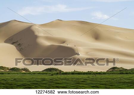 Stock Image - Seruun Bulag oasis by the sand dunes of Khongoryn Els, Gobi Gurvansaikhan National Park,? mnÃƒÆ’Ã‚Â·govi Province, Mongolia. Fotosearch