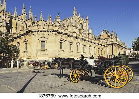Seville, Andalusia, Spain; Horses And Carriages In Front Of Cathedral Of Seville View Large Photo Image Stock Photo - Seville, Andalusia, Spain; Horses And Carriages In Front Of Cathedral Of Seville. Fotosearch