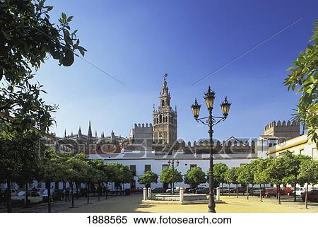 Seville Cathedral And Courtyard View Large Photo Image Stock Photography - Seville Cathedral And Courtyard. Fotosearch