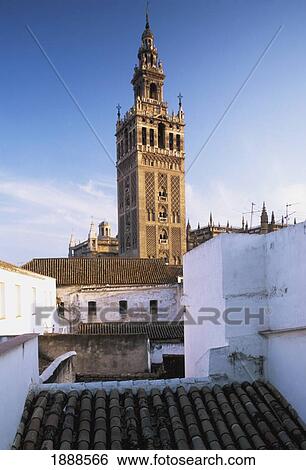 Seville Cathedral And Rooftops View Large Photo Image Stock Photograph - Seville Cathedral And Rooftops. Fotosearch