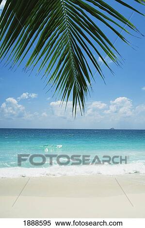 Seychelles, Praslin, Palm Leaf Hanging Over White Sand Beach; Anse Lazio View Large Photo Image Stock Photography - Seychelles, Praslin, Palm Leaf Hanging Over White Sand Beach; Anse Lazio. Fotosearch